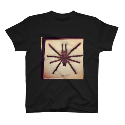 クロイスパイダーマン Regular Fit T-Shirt
