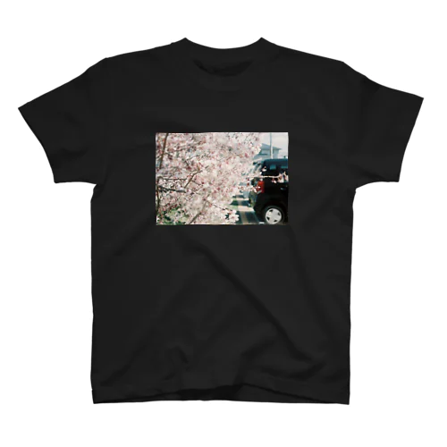 桜が咲いたら Regular Fit T-Shirt