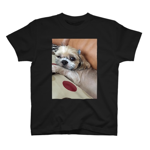 チーズ君 Regular Fit T-Shirt