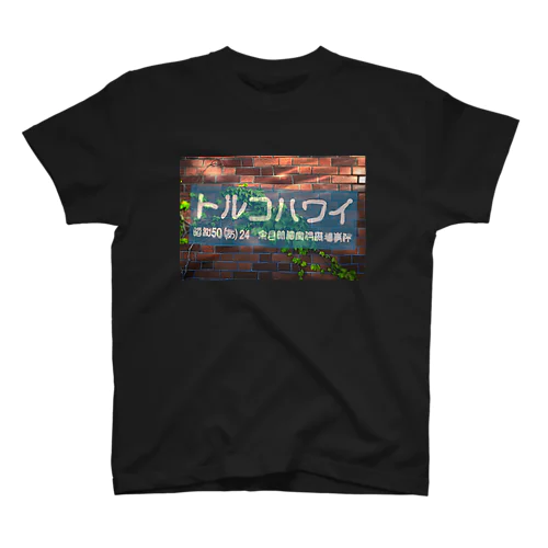 トルコハワイ_煉瓦_水色幕 Regular Fit T-Shirt