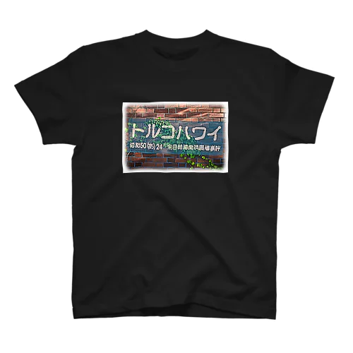 トルコハワイ_煉瓦_水色幕 Regular Fit T-Shirt