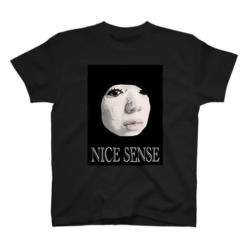 NICE SENSE Regular Fit T-Shirt