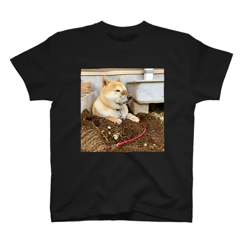 穴掘り犬こむぎさん ３ Regular Fit T-Shirt