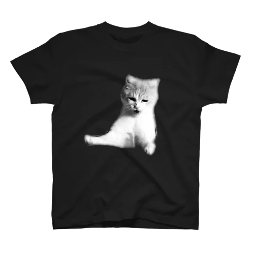 いつも胸に精一杯の猫を Regular Fit T-Shirt