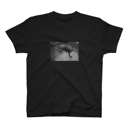 B&W Photography 《し》 スタンダードTシャツ