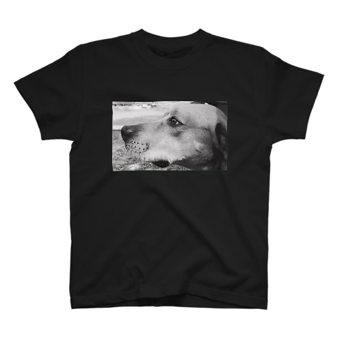 dog  Regular Fit T-Shirt