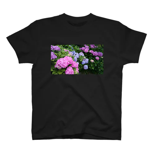 紫陽花 スタンダードTシャツ