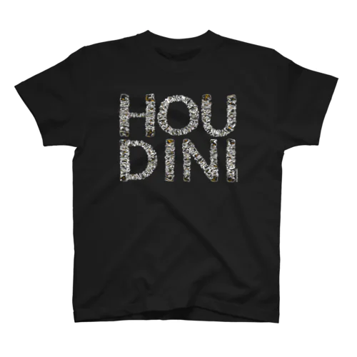 ルーズなHOUDINI Regular Fit T-Shirt