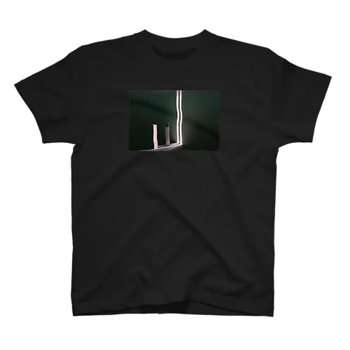 【数量限定】Hikari / kuro スタンダードTシャツ