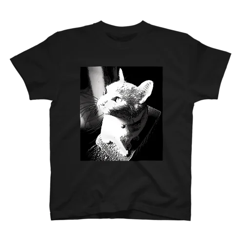 虎徹「黄昏」 Regular Fit T-Shirt