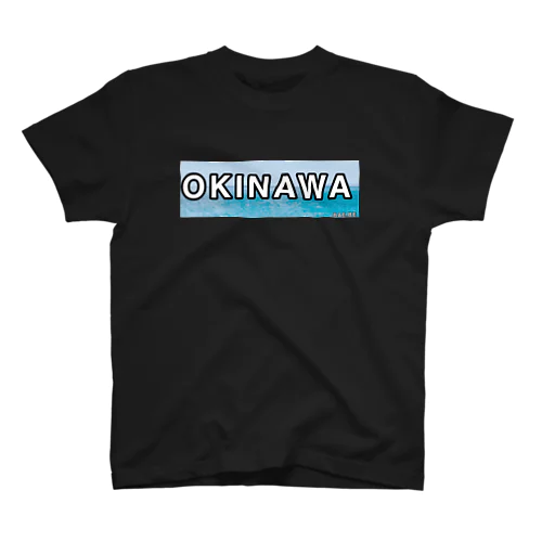 Okinawa ロゴ Regular Fit T-Shirt