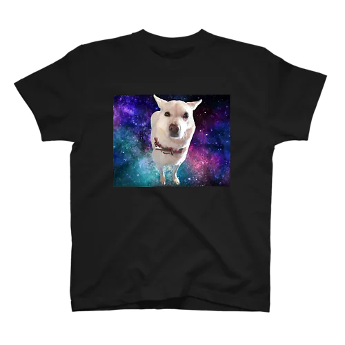 宇宙犬・楓ちゃん スタンダードTシャツ