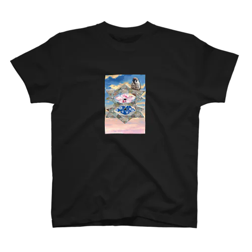 桔梗紋 Popカラー Regular Fit T-Shirt