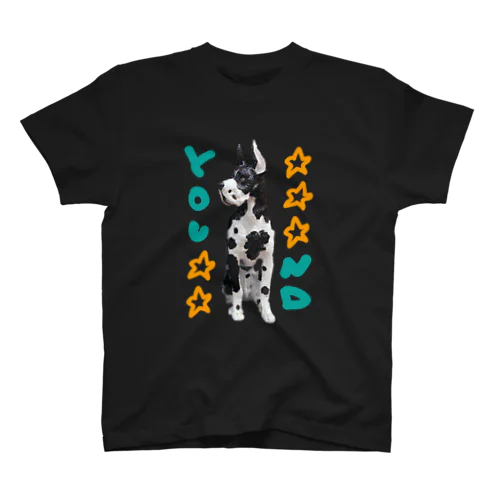 名古屋の犬 スタンダードTシャツ