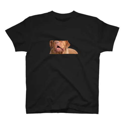 Dog nose2 スタンダードTシャツ