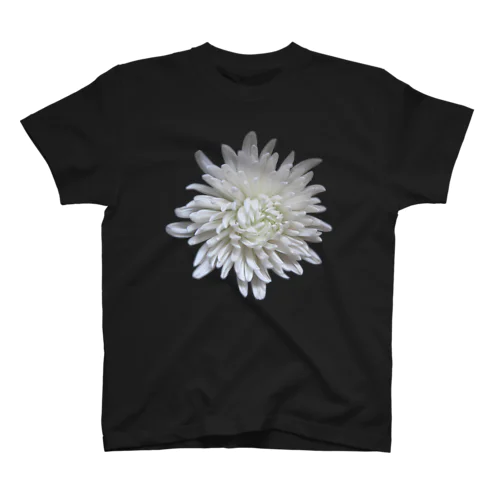 追悼・白菊 スタンダードTシャツ