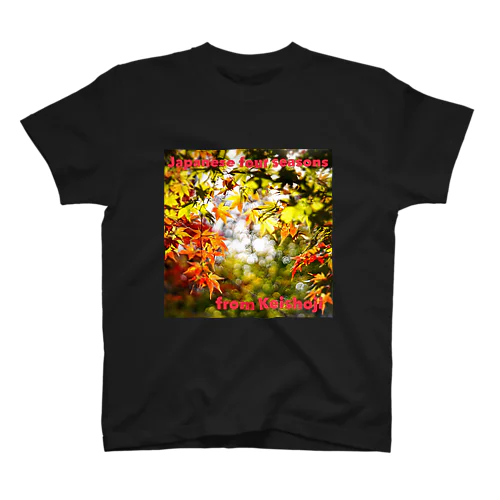 紅葉 Ⅰ〜Japanese four seasons from   Keishoji〜 Regular Fit T-Shirt