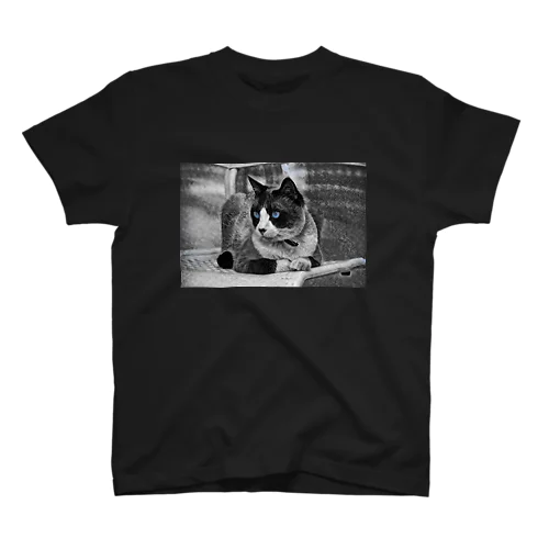 碧目猫 Regular Fit T-Shirt