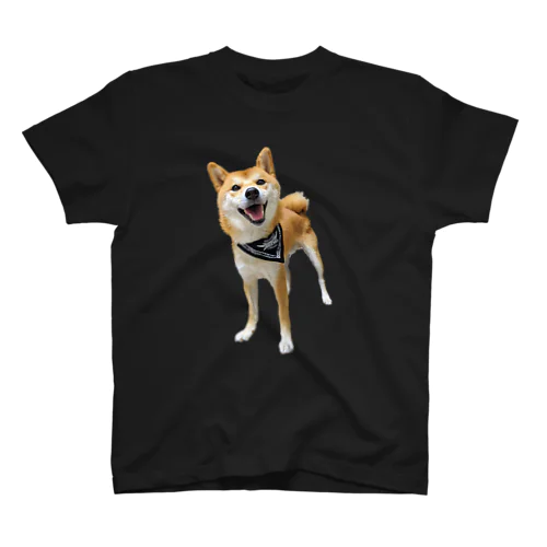 柴犬大ちゃん スタンダードTシャツ