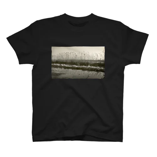 KASUMIGAURA Regular Fit T-Shirt