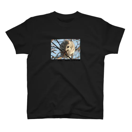 【エゾモモンガ】季節を越えて楽しもう Regular Fit T-Shirt