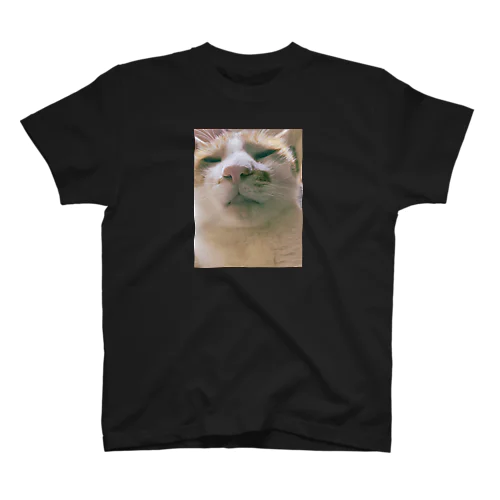 うちのふてぶてしいねこ Regular Fit T-Shirt