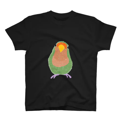 コザクラインコのスイカ君 スタンダードTシャツ