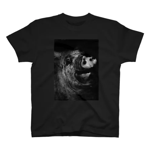 scoffing pig!_01 スタンダードTシャツ