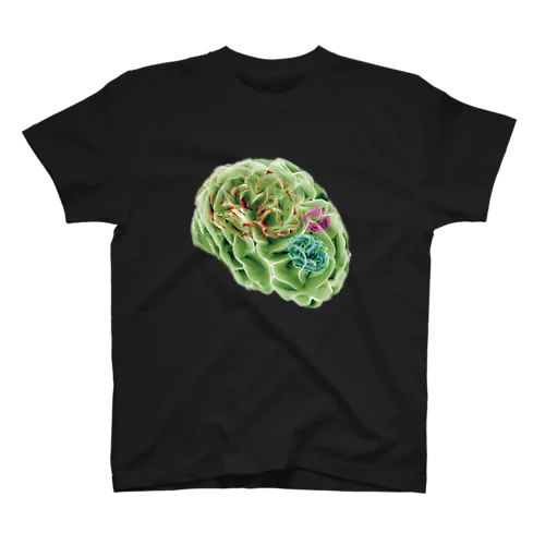 amnesia (BRAINS UP) Regular Fit T-Shirt