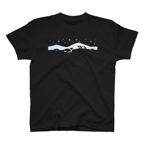 南極の夜 Regular Fit T-Shirt