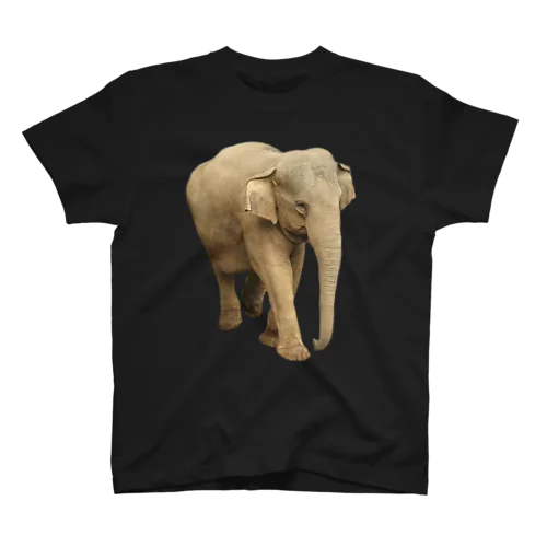 ゾウが大好き！！ スタンダードTシャツ