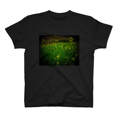 暗闇菜の花 スタンダードTシャツ