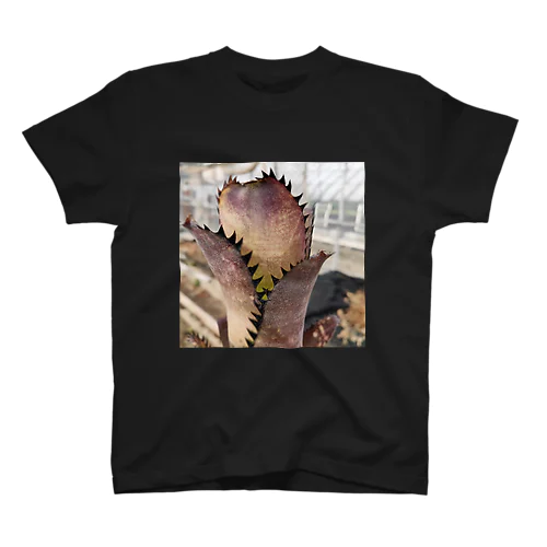 Billbergia 'Kahakai' スタンダードTシャツ