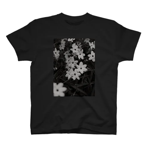 Ipheion スタンダードTシャツ