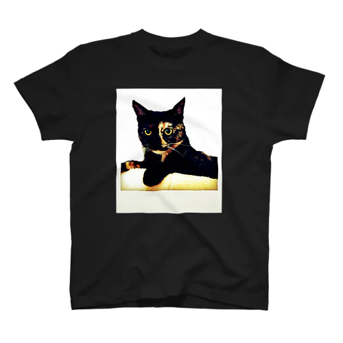 サビ猫チャビ Regular Fit T-Shirt