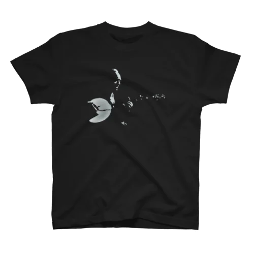 BanjoManiacs1 スタンダードTシャツ