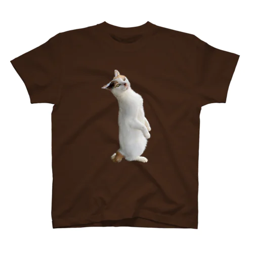 Standing Cat (Kinako) 猫 スタンダードTシャツ