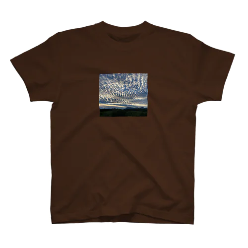 雲に占領された青空 Regular Fit T-Shirt