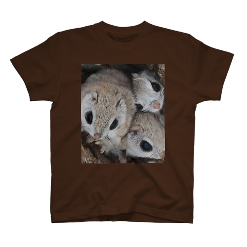 【エゾモモンガ】しあわせって今日のこと Regular Fit T-Shirt