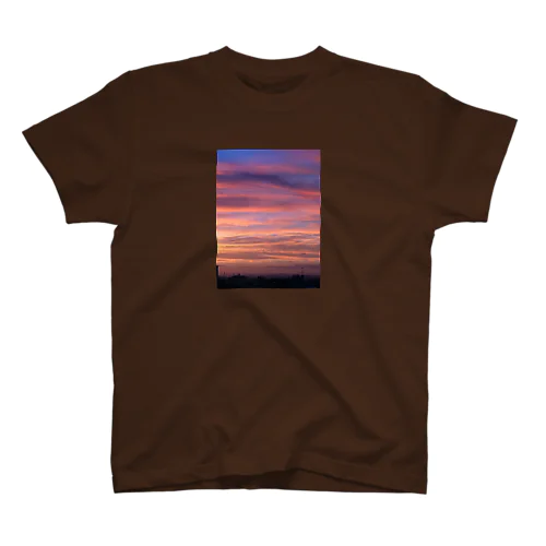 夕景1 Regular Fit T-Shirt