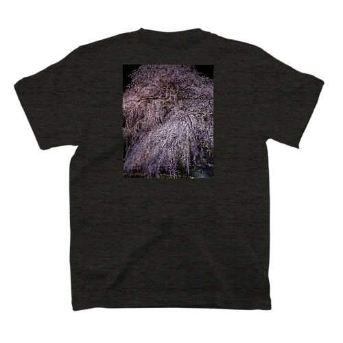 夜桜 Regular Fit T-Shirt