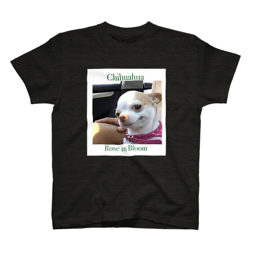 Chihuahua スタンダードTシャツ