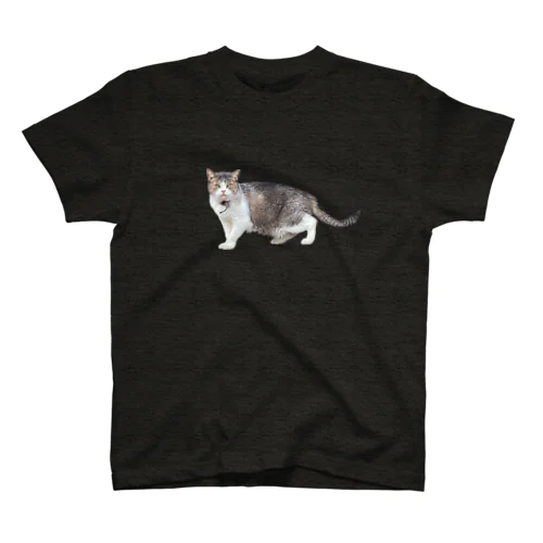 造形のおかしい猫 スタンダードTシャツ