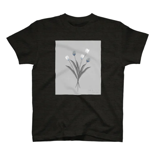 💐 Blue Gray . スタンダードTシャツ