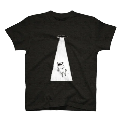 パグダクション透過 Regular Fit T-Shirt