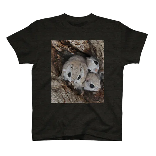 【心とカラダの栄養に】サロベツの仲良しエゾモモンガ Regular Fit T-Shirt