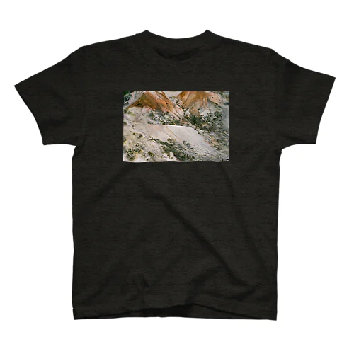 IO Regular Fit T-Shirt