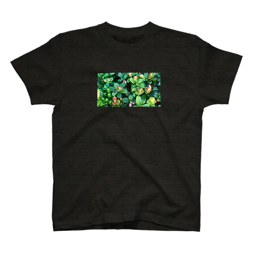 乗鞍岳の高山植物 Regular Fit T-Shirt