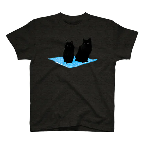 Magic Carpet Ride（cyan） Regular Fit T-Shirt