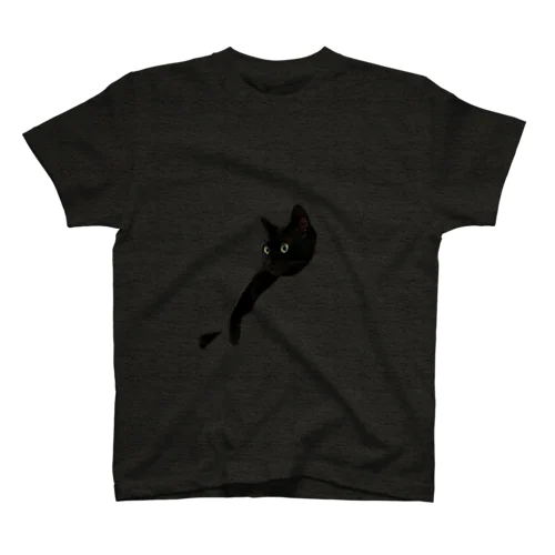 浮かぶ黒猫 Regular Fit T-Shirt